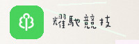 合作伙伴